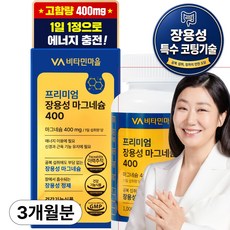 비타민마을 프리미엄 장용성 마그네슘 400 90g, 90정, 1개
