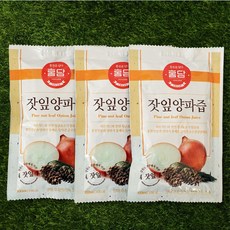 홍담 잣잎 양파즙 100ml 30포, 30개