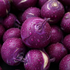 [제주호텔납품] 프리미엄콜라비 제주호텔납품 제주콜라비 합리적가격, 1박스, 3kg