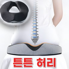 포틀리 튼튼 허리 자세교정 방석, 차콜그레이