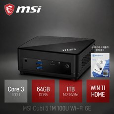 MSI Cubi 5 1M Wi-Fi 6E C3-100U / 작고 가벼운 사무용 인강용 업무용 가정용 미니PC, WIN11 Home, 1TB, 64GB, 블랙