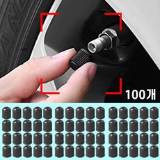 자동차 타이어 공기 밸브 캡 뚜껑 무시캡 밸브캡 100개, 1세트