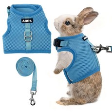 AIITLE 조절 가능한 토끼 및 목줄 세트 - 경량 및 휴대용 매직 테이프 디자인의 패딩 조끼 실내/실외 사용 (훈련 하이킹) - 햄스터 쥐 이구아나 강아지 고양, 블루