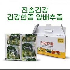진솔건강 건강한즙 양배추즙 100ml 50개입 50봉 50포 cha+39726Zx