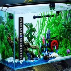 리에스 스티커형 어항 온도계 수족관온도계