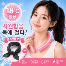 헤이즈 아이스 넥쿨러 쿨링 넥밴드 얼음 목걸이 쿨스카프 세트, 1개, 핑크