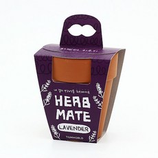 거실화분 반려식물 라벤더 키우기 재료 모음 세트, 상품선택, 1개