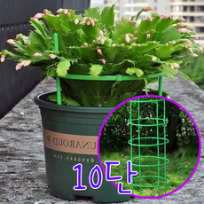 leoq 화초 꽃 화분 조립식 원형 식물 지지대 원예용 지주대, 10세트