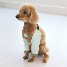 쿨링 에어 아이스 팔꿈치 보호대 양말 중형견 대형견용, 1개, 그린