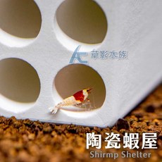 【AC草影】白磚16洞陶瓷蝦屋(方形/6cm) - 水晶蝦/極火蝦躲避繁殖 魚缸造景裝飾, 1個
