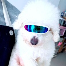 유니펫 강아지 고양이 선글라스 퓨처 고글, 1개