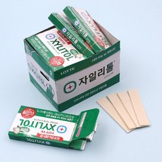 너만아는과자점 롯데제과 롯데껌 자일리톨 오리지날 빅팩 23g x 14개