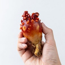 바다향 가득 당일입고 통영 활멍게 (중사이즈), 1개, 통멍게 중짜 4kg