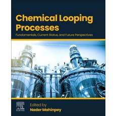 (外文書)Chemical Looping Processes: Fundamentals Current Status and Future Perspectives Paperback, Elsevier, English