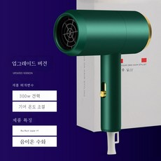 DFMEI 헤어 드라이어 음소거 헤어 케어 음이온 가정용 헤어 드라이어 저전력 500W 헤어 드라이어, 다크그린 2300W [블루라이트 헤어케어]