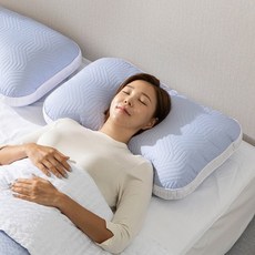 홈랩 통째로 빨아쓰는 퍼펙트 기절베개 2colors, 1종, 블루그레이