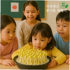 마켓마고Z 콩나물 재배기 학습, 콩나물 칼라박스_콩 선택안함