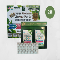 기억력/집중력/인지력개선 슈퍼 프리미엄 징코 포르테(약사추천), 2개, 120정
