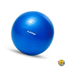 셀링프리 필라테스짐볼 블루 45cm 임산부짐볼