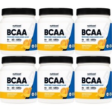 뉴트리코스트 고흡수 BCAA 파우더 오렌지망고, 6개