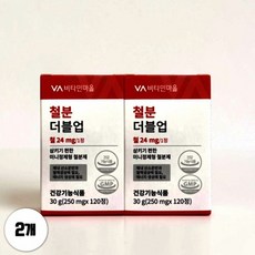 비타민마을 철분 더블업 철분제 120정 2박스 540227