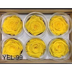 Roseamor厄瓜多精品玫瑰帶香氣6輪大玫瑰，室內香氛，持久清新，浪漫裝飾, 1個, 黃