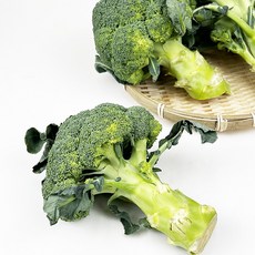 국산 햇 브로콜리 브로컬리 브로콜리 약2-300g내외 (봉), 300g, 1개