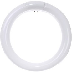 05020 FC8T9/DL T9 원형 형광 램프 22와트 1050루멘 6500K 일광 호환 G10Q 4핀 베이스 1팩, 8-Inch, 6500k Daylight