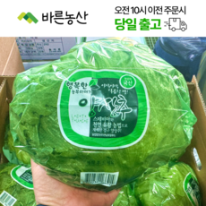 < 바른농산 > 국내산 포장 양상추, 6개, 350g