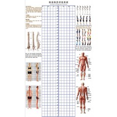 체형 분석 롤스크린 분석표 측정 격자 스크린 분석판