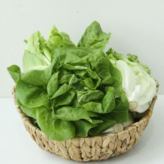 산지직송 유럽 샐러드채소 6종 랜덤 쌈채소, 1개, 1kg