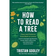 (영문도서)How to Read a Tree: Clues and Patterns from Bark to Leaves Paperback, Experiment, English, 9798893031461 Experiment, English, 9798893031461
