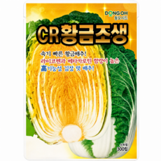 동오시드 CR황금조생 300립 배추 씨앗 고기능성 김장 황금 배추 베타카로틴 씨앗 종자, 1개