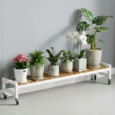 디원리빙 이동식 프리미엄 철제프레임 계단식 화분 정리 선반대, 화이트 120cm, 1단