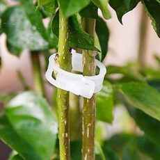 무료배송/ 토마토줄기 지지대 원예용품 20P세트, 40개