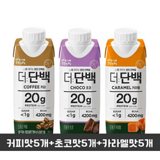 빙그레 더단백드링크 커피5+초코5+카라멜5(총입)/단백질드링크/우유단백질/단백질보충/무, 15개, 250ml