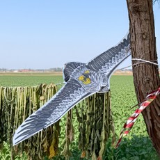 조류퇴치 새쫓는 독수리연 110cm 대형 연날리기