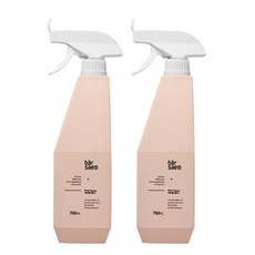바샘 멀티 클리너 750ml 2개 다목적 세정제
