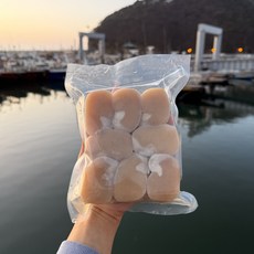 국내산 키조개 관자 250g 500g [원산지:국산(전라북도 부안군 격포)], 1개, 자연산 통 관자 대 500g