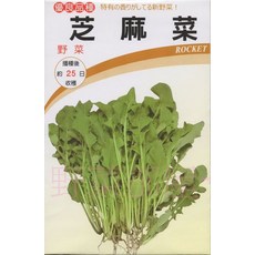 芝麻菜種子 ROCKET 箭生菜種子 約25日收穫, 1包