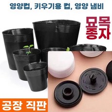 블루베리 화분 모종 컵 일회용 포트 비닐 포트 화분 묘목, G. 1 pot 스프링 냄비 작은