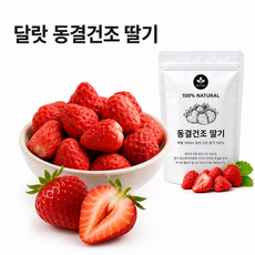 무설탕 과일칩 동결건조딸기 어린이 영양간식 딸기100%, 8개, 50g