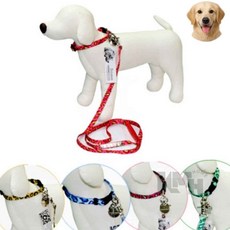 애견 목줄 세트 랜덤발송 애견목줄 강아지산책목줄