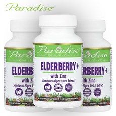 파라다이스 허브 허브스 허브즈 엘더베리 징크 아연 60캡슐 3개