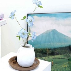 콩콩 조화 장미 블루 드라이플라워대체