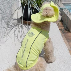 베일리펫 강아지 여름 해충방지 자외선차단 UV쿨가드, 1개, 라임