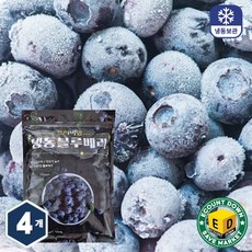 아토 프리미엄 냉동 블루베리, 4개, 1kg(중국산)