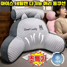 [여름 필수템] 1/1+1 아이스 테릴렌 다기능 허리 등쿠션 소파 쿠션 등받이 쿠션 침대 의자 허리받침대 헤드쿠션 쿨링 쿠션 베개 허리받이 등베개 대형 등쿠션 SUOSER 포장증정, 1개, 핑크 토끼