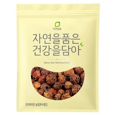 자연닮음 국산 햇 산사열매 300g 산사자 아가위, 1개