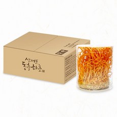 무농약 현미 생 동충하초 생초 5통, 5개